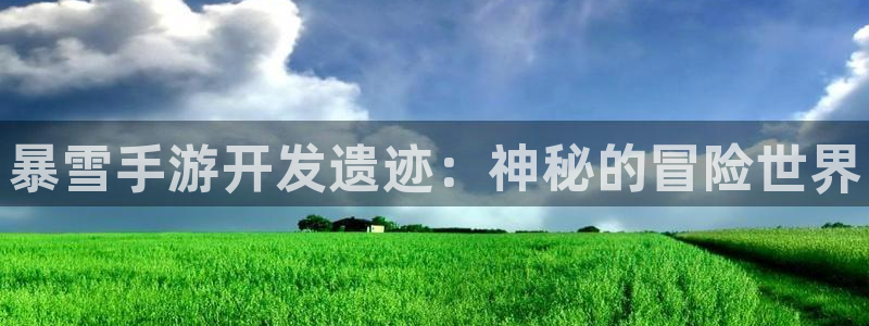 28大神预测破解版