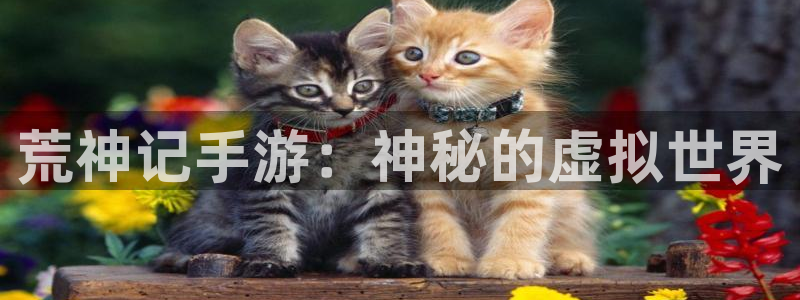 pg国际杀最厉害三个组合是谁