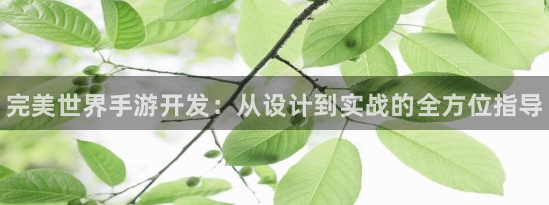 pg国际加拿大开奖：完美世界手游开发：从设计到实战的全方位指