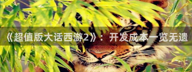 pg国际加拿大开奖：《超值版大话西游2》：开发成本一览无遗