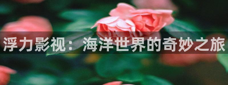 老子影视网