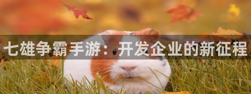 28大神算法公式：七雄争霸手游：开发企业的新征程