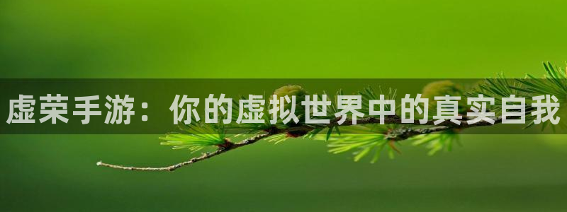 28大神加拿大开奖历史预测：虚荣手游：你的虚拟世界中的真实自